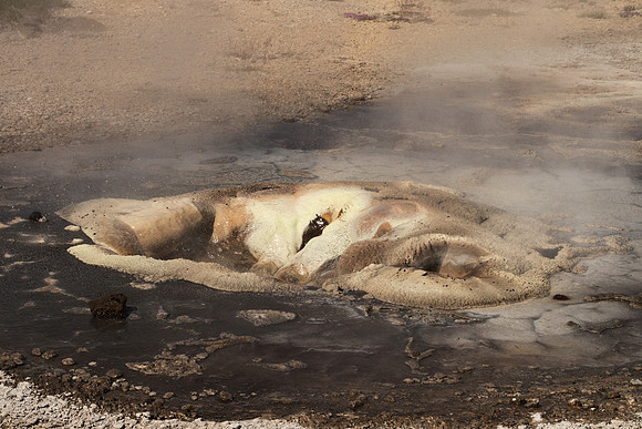 Hot Spring with a Heart?