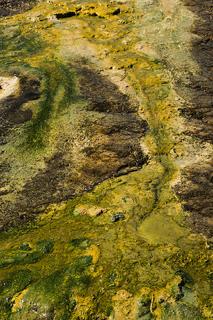 Sulfurous Flow