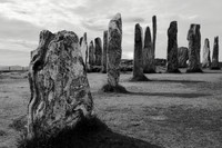 Assembly of Stones