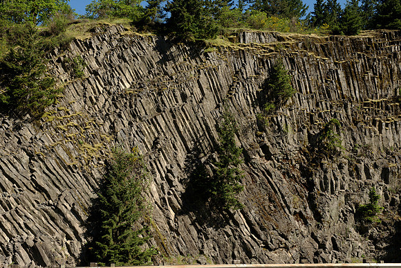 Columnar Basalt Roadcut