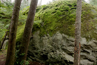 The Waterman Erratic on Whidbey Island