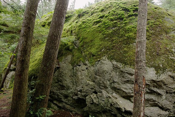 The Waterman Erratic on Whidbey Island