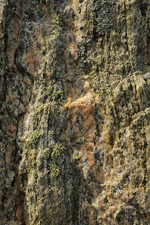 Lewisian Gneiss Detail III