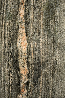 Gneiss Detail II, Callanish Stones
