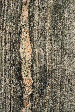Gneiss Detail II, Callanish Stones