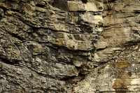 Rock Abstract