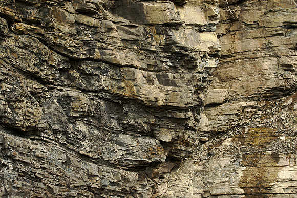 Rock Abstract
